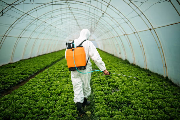 Pest Control for Restaurants in South Dos Palos, CA