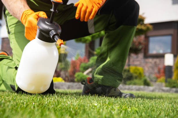 Best Mosquito Control Services  in South Dos Palos, CA