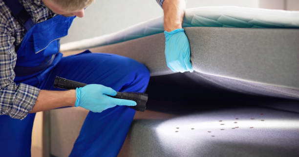 Best Best Pest Control Companies  in South Dos Palos, CA